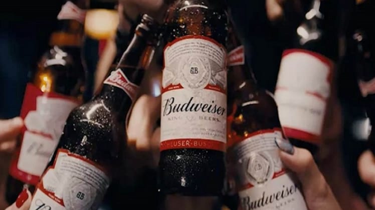 सोशल मीडिया यूजर्स