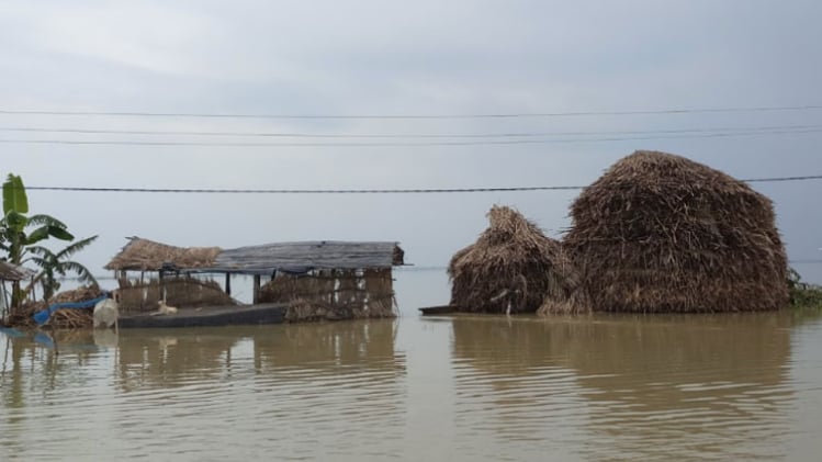बाढ़ से घिरा बिहार का रतवारा गांव (फोटो- रोहित)