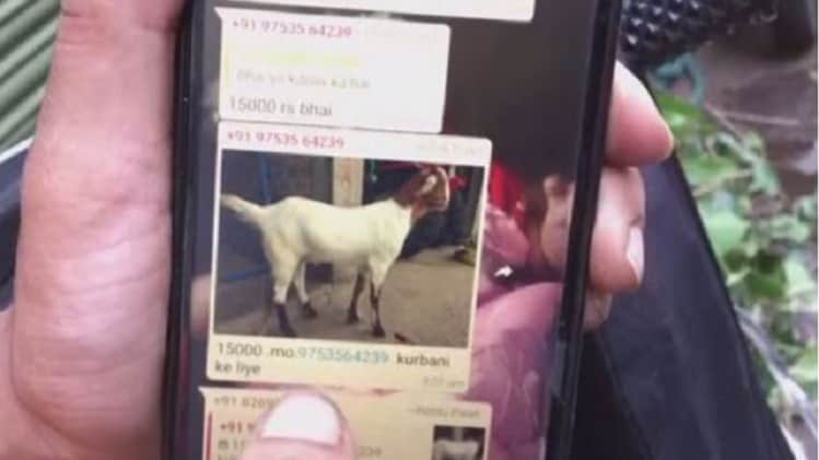 वॉट्सऐप पर बकरों का बाजार (फोटो- एएनआई)