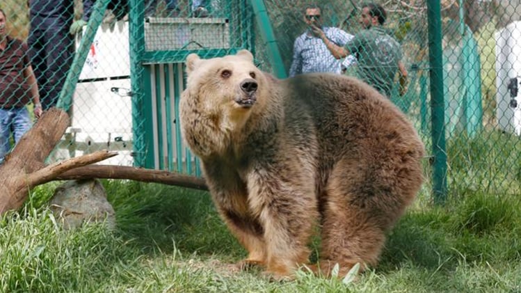 प्रतीकात्मक तस्वीर