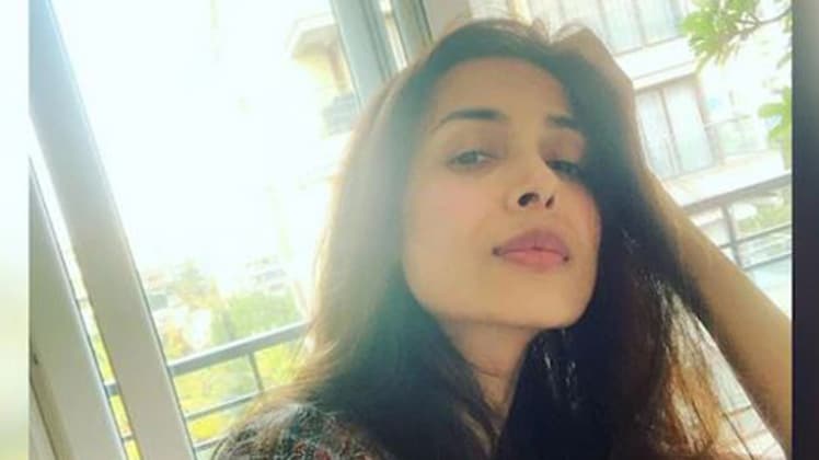 मलाइका अरोड़ा