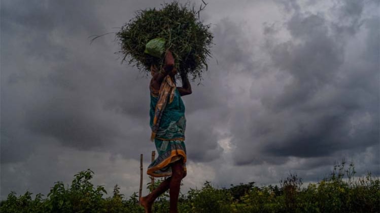 Weather Forecast Today 18 July, Delhi-NCR-UP Weather IMD Alert (मौसम का हाल)