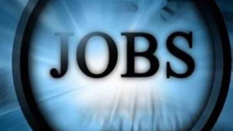 Sarkari Naukri, RCF Ltd MT Recruitment 2020, Management Trainee, Officer, Govt Jobs Vacancy, RCFL, सरकारी नौकरी