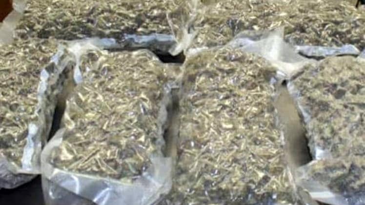 पुलिस ने 380 किलो गांजा पकड़ा (File Photo)