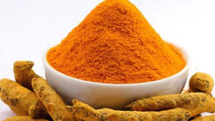 निचली अदालत में 14 साल तक चला मुकदमा (सांकेतिक फोटो)