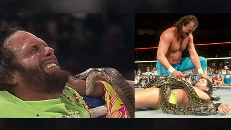 WWE Wrestlers With Snakes In Ring