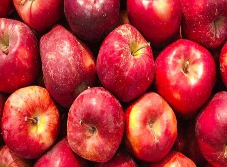 प्रतीकात्मक फोटो