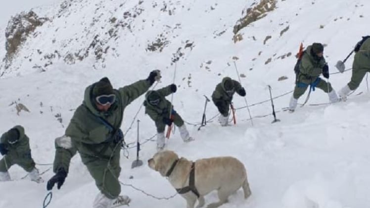 सांकेतिक तस्वीर