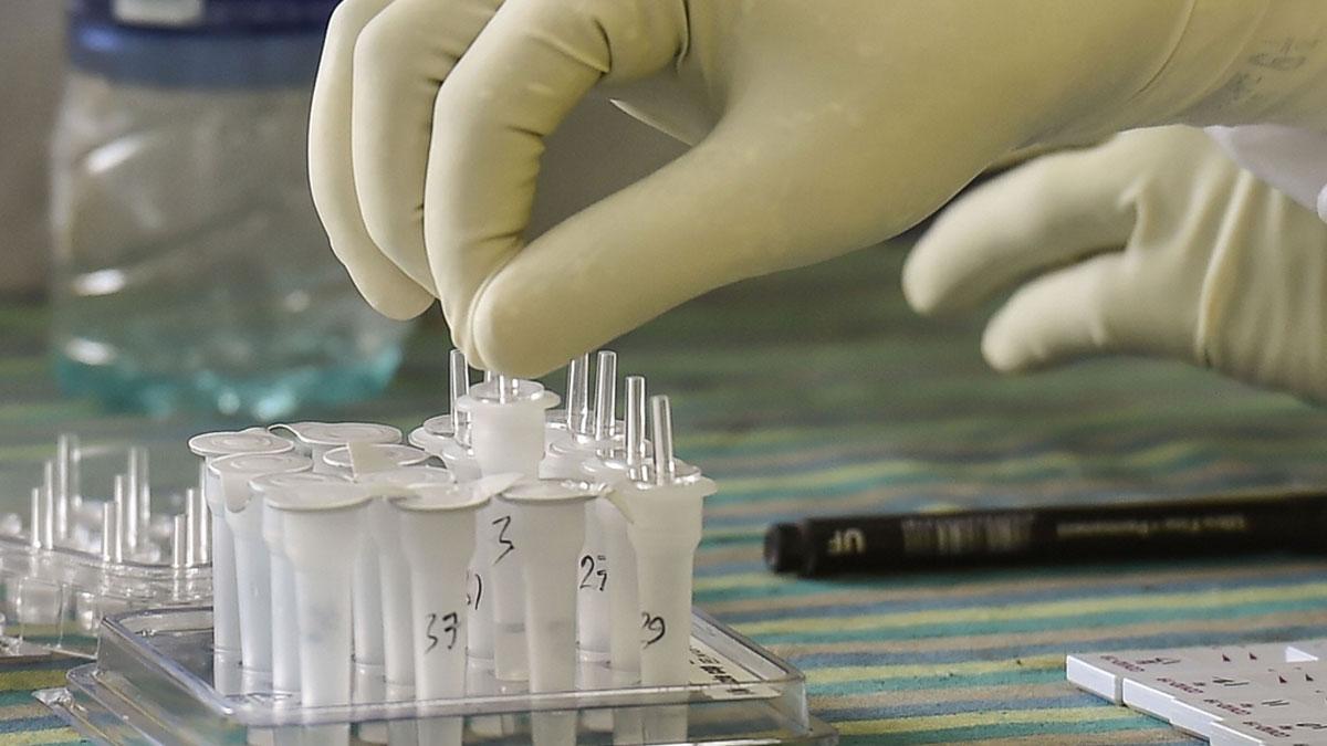 सांकेतिक तस्वीर (पीटीआई)