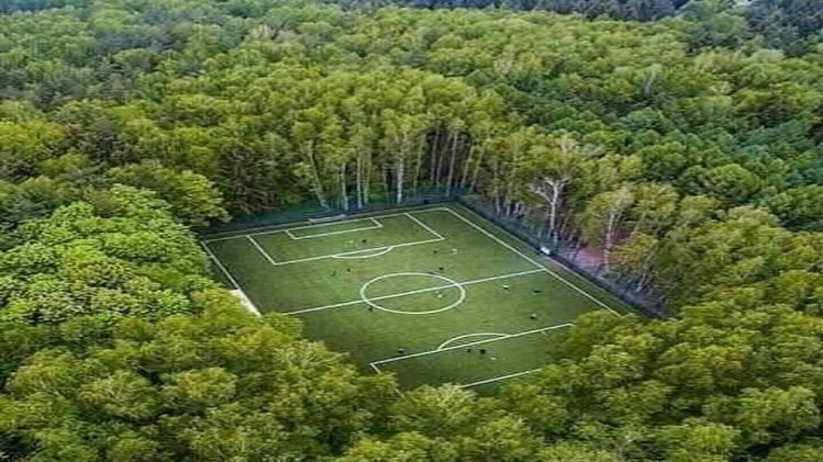 सोशल मीडिया यूजर्स