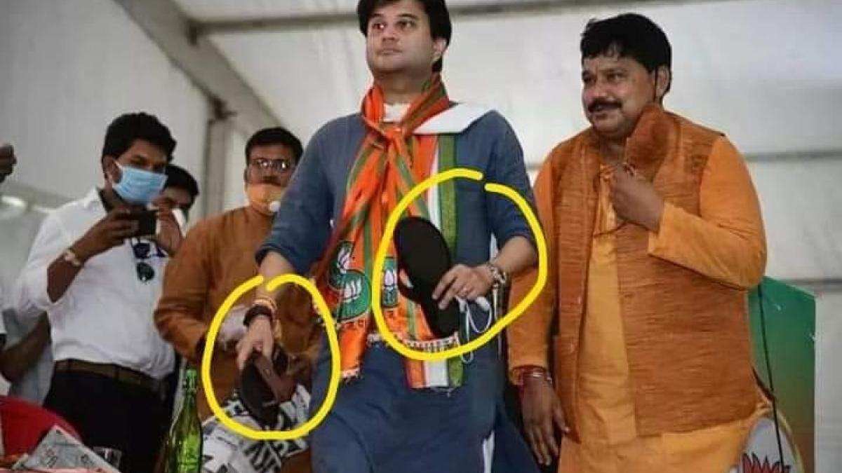 वायरल तस्वी