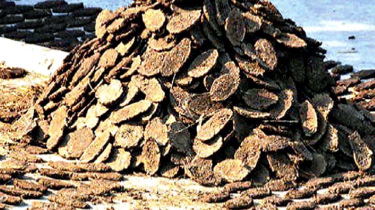 प्रतीकात्मक फोटो