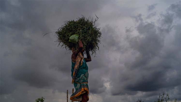 Weather Forecast Today 8 August Live Updates, IMD weather Alert (मौसम का हाल)