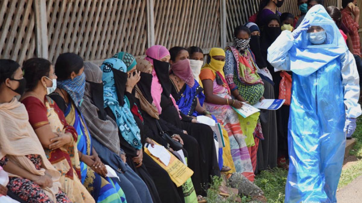 सांकेतिक तस्वीर (पीटीआई)