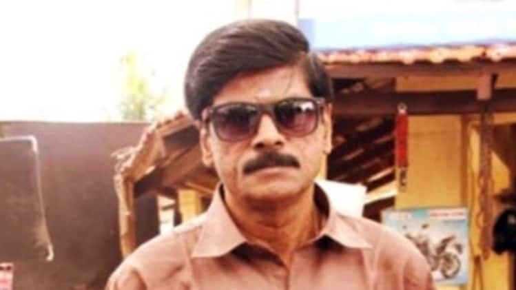 वी स्वामीनाथन