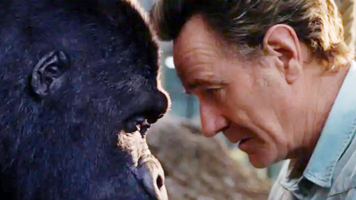 फिल्म द वन एंड ओन्ली इवान से एक दृश्य