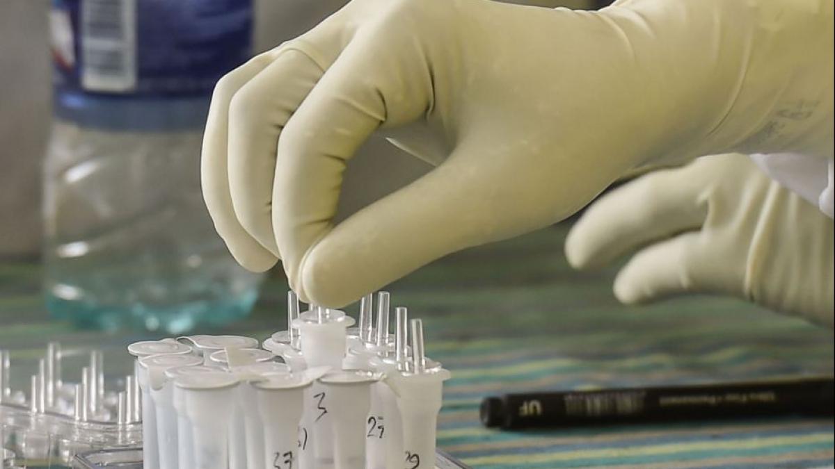 एंटीजन किट गायब (फाइल फोटो-PTI)