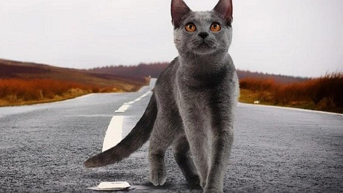 चीनी शोधकर्ताओं ने परीक्षण के बाद खुलासा किया (Photos: File)