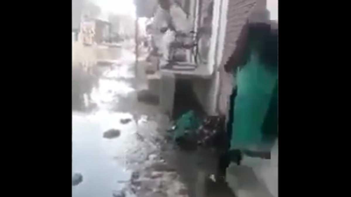 फैक्ट चेक (फोटो-वीडियो ग्रैब से)