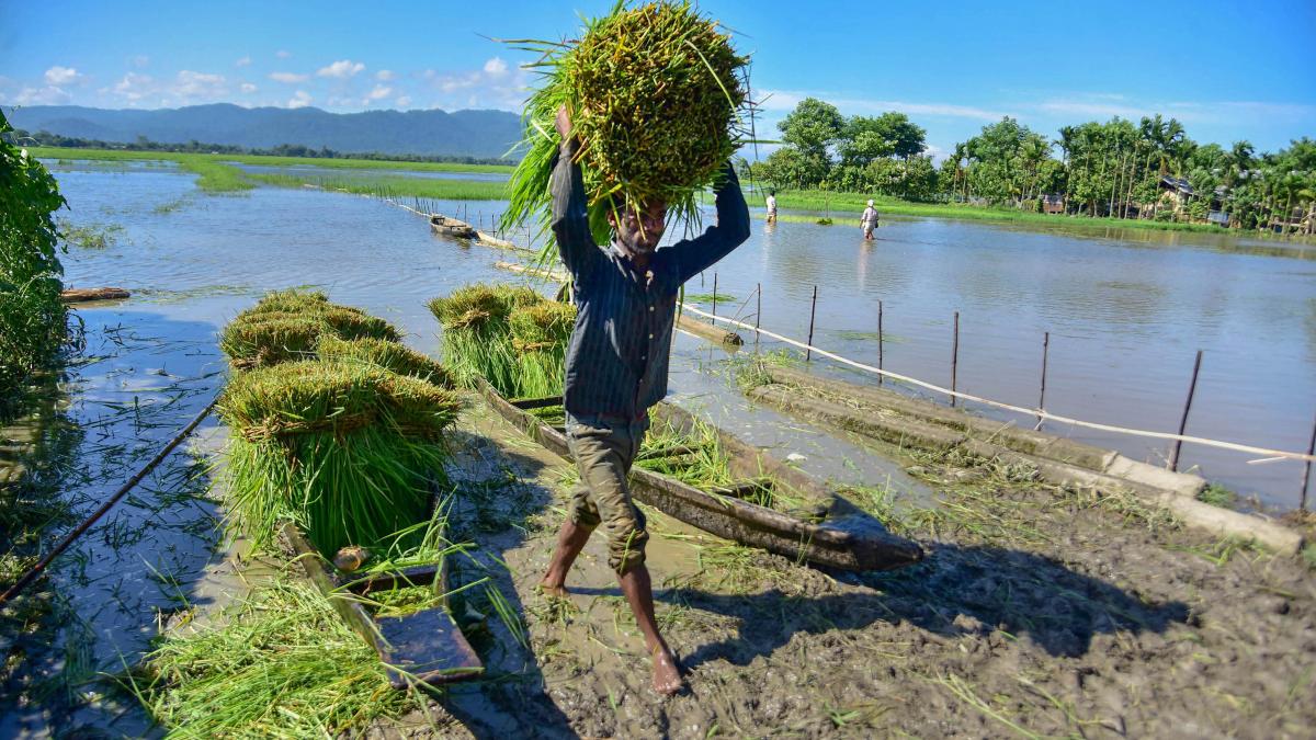 किसान (फाइल फोटो-PTI)