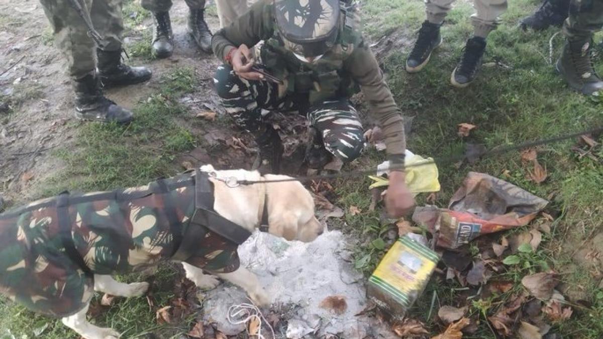 आईईडी को डिफ्यूज करता बम निरोधक दस्ता (फोटोः एएनआई)