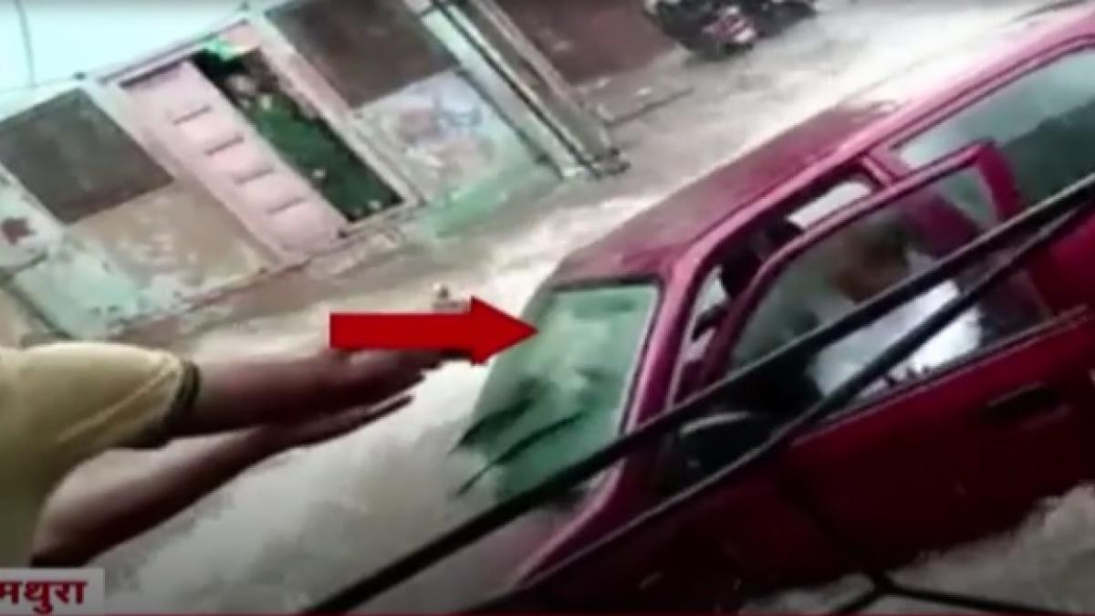 कार सवार ने तेज बहाव में ही छलांग लगा बचाई जान