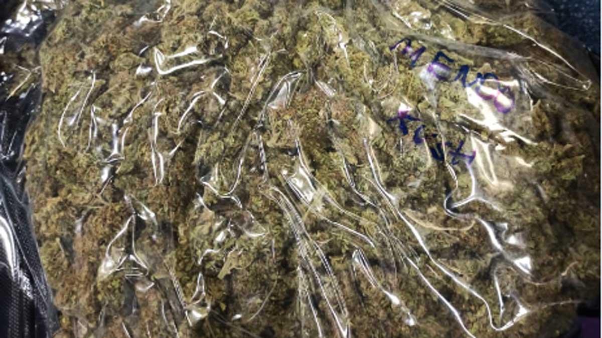 एनसीबी ने बरामद किया गांजा (फोटो-मुनीष पांडे)