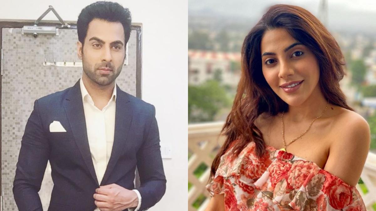 रिब्भू मेहरा-निक्की तम्बोली