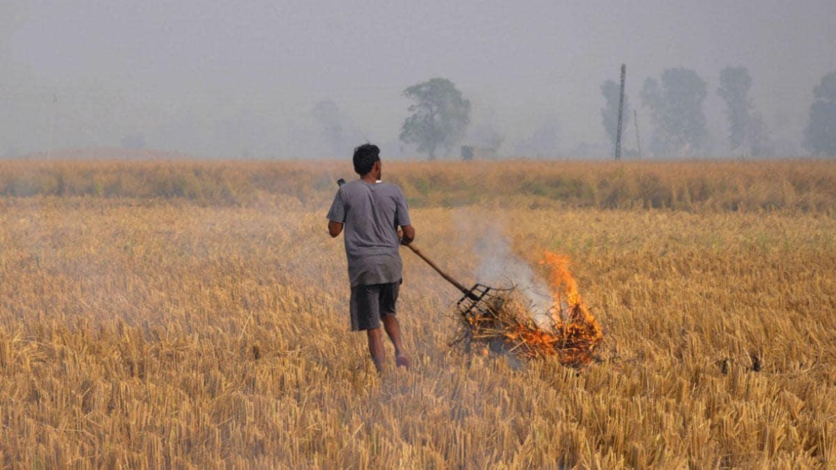 पराली को लेकर दिल्ली सरकार ने की बैठक (सांकेतिक फोटो)