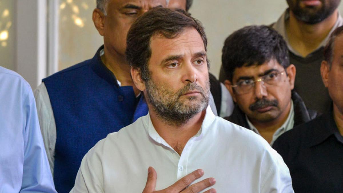 राहुल गांधी (फाइल फोटो- पीटीआई)