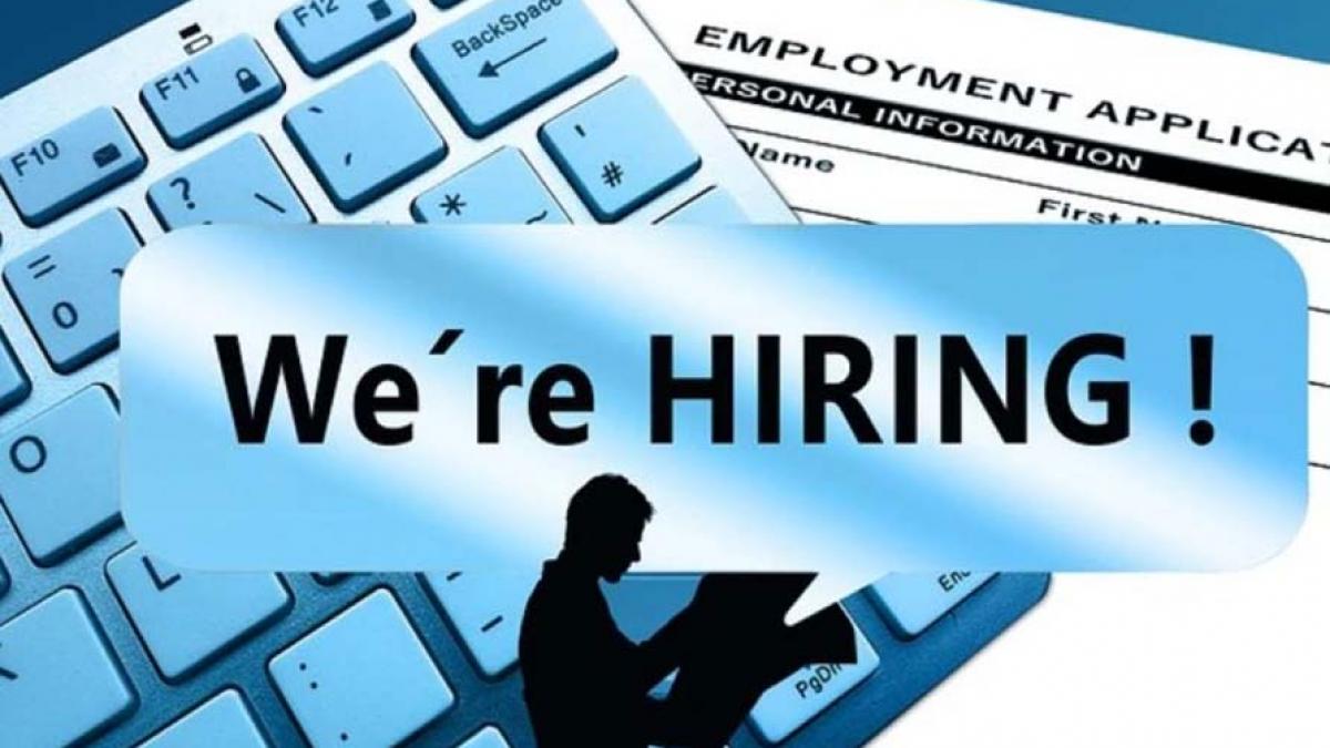 Government Jobs in States: सरकारी नौकरी