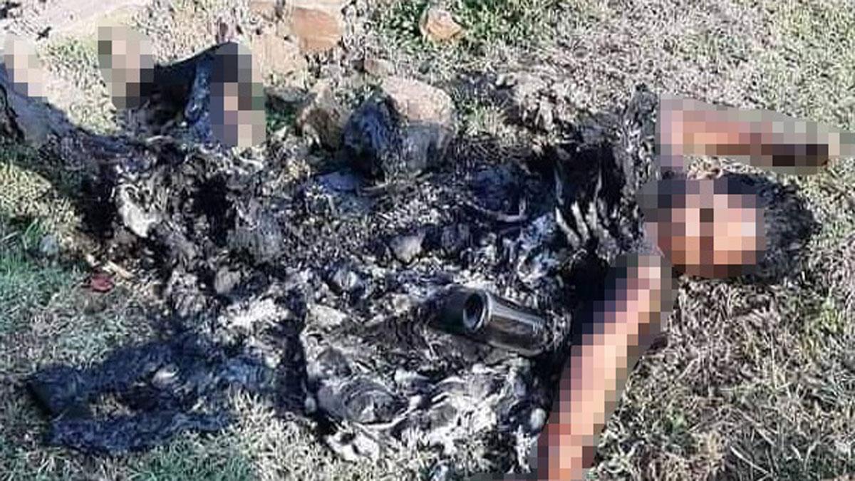 सोशल मीडिया में वायरल तस्वीर