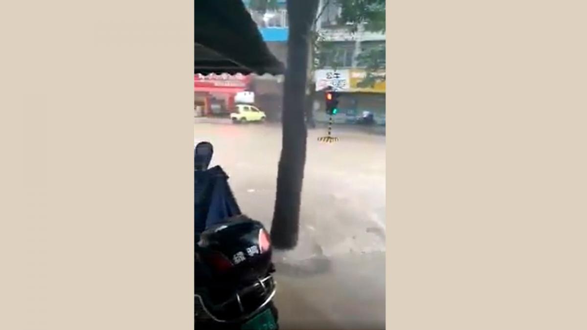 सोशल मीडिया में वायरल वीडियो का एक दृश्य  