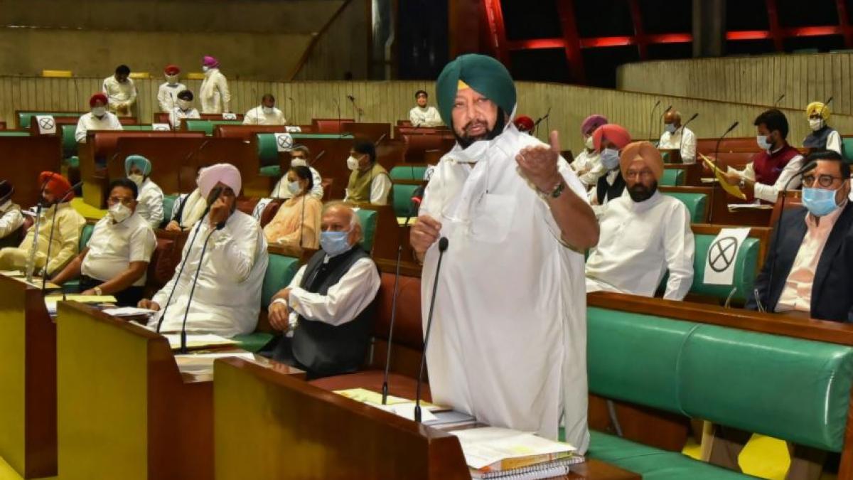 पंजाब के सीएम कैप्टन अमरिंदर सिंह (फोटो-पीटीआई)
