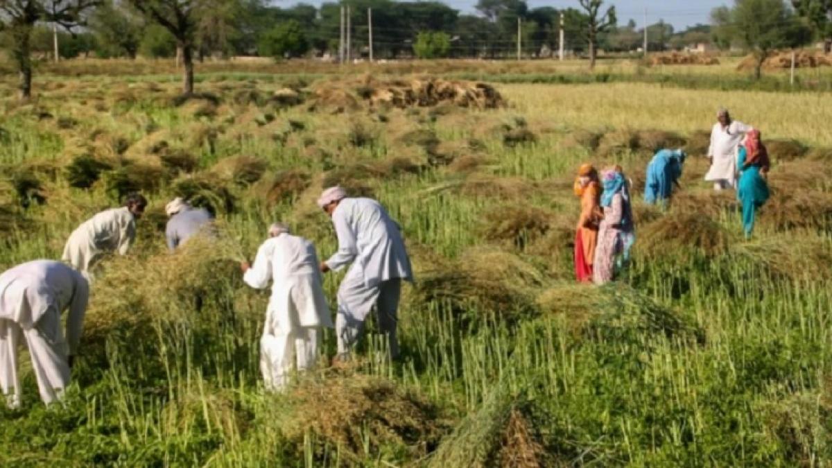 प्रतीकात्मक तस्वीर