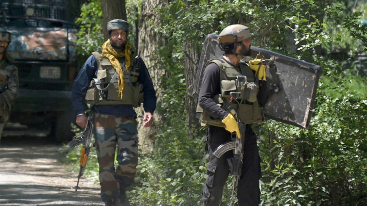 सांकेतिक तस्वीर (पीटीआई)