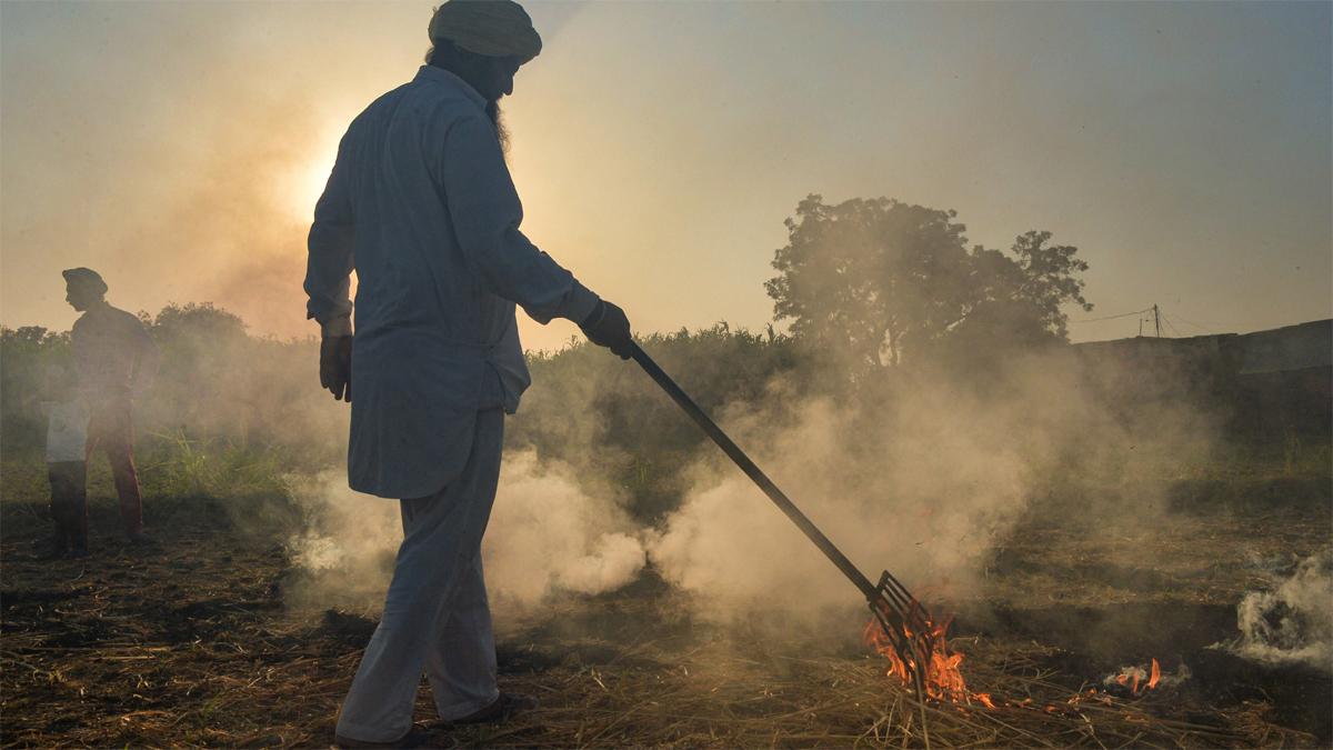 Delhi Air Pollution, पराली जलाते लोग (तस्वीर- PTI)