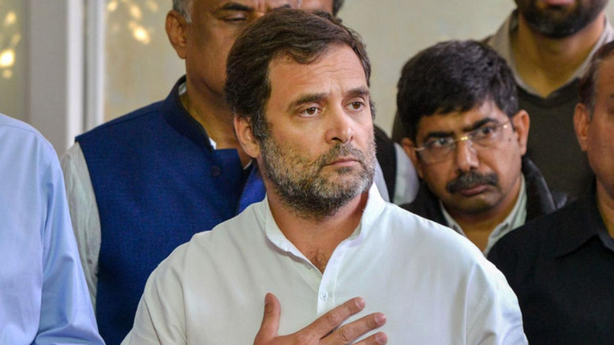 कांग्रेस के पूर्व अध्यक्ष राहुल गांधी (फाइल फोटो- पीटीआई)