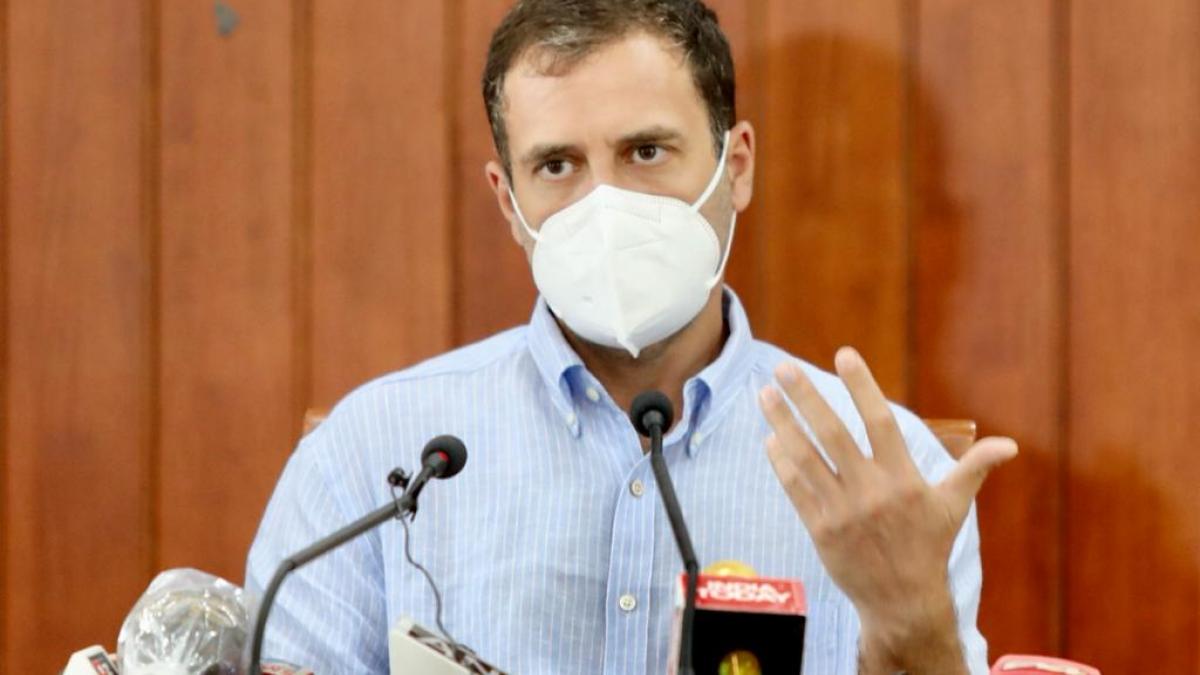 कांग्रेस के पूर्व अध्यक्ष राहुल गांधी (फोटो- @RGWayanadOffice)