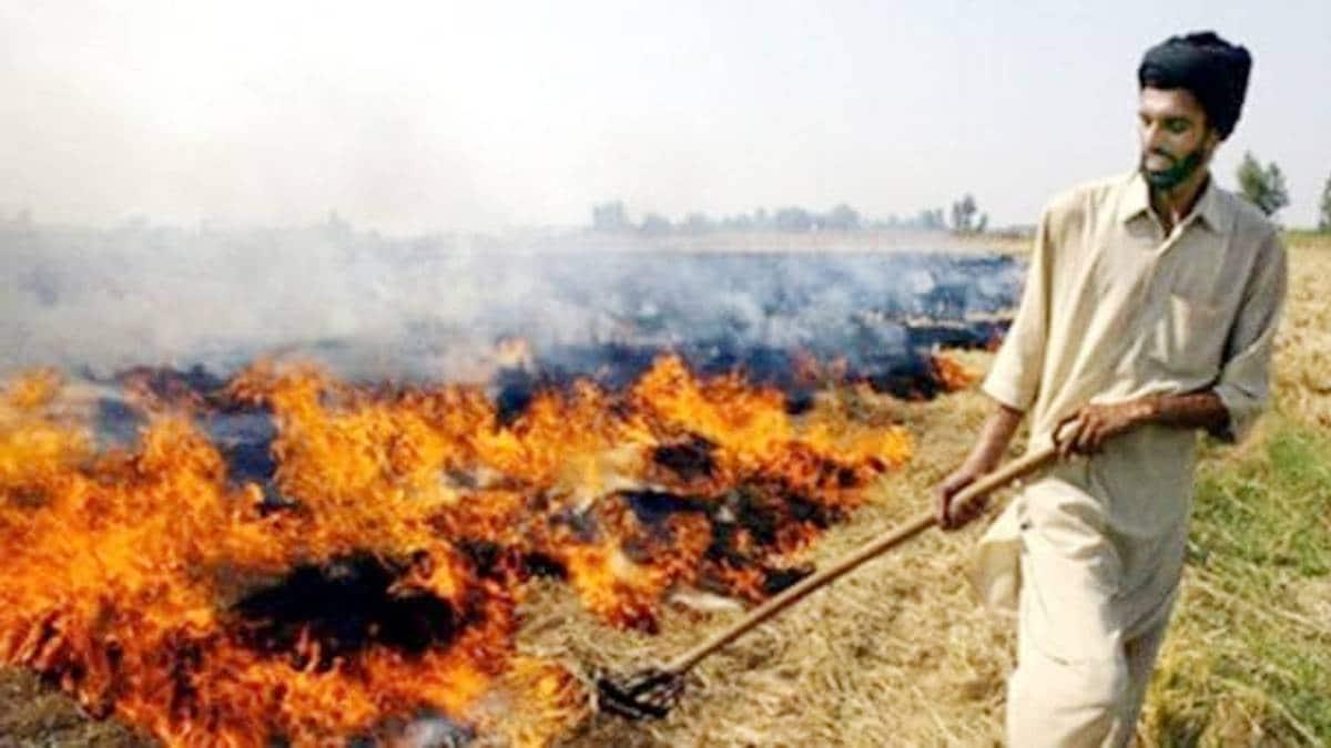 पराली जलाने पर आम आदमी पार्टी ने केंद्र सरकार से पूछे सवाल (फाइल फोटो)