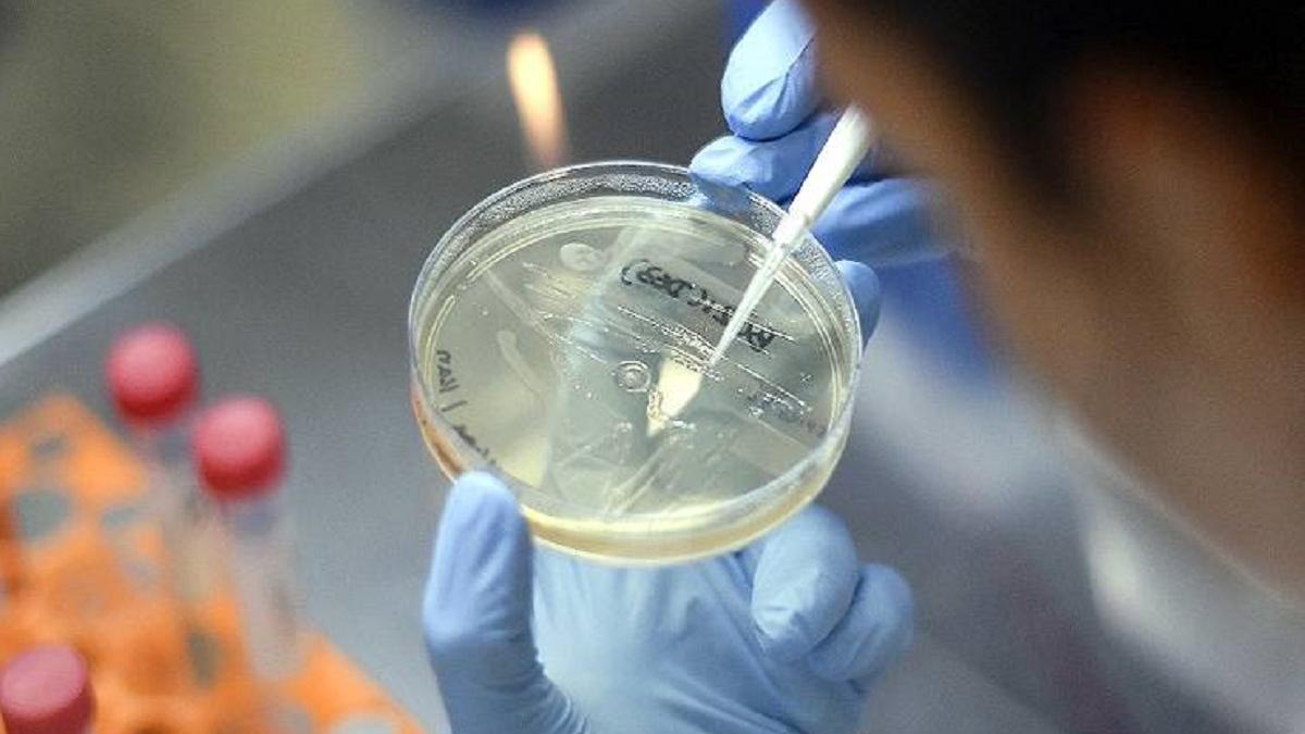 कोरोना के बाद जैविक खतरों के मुद्दों पर ध्यान (File Photo)