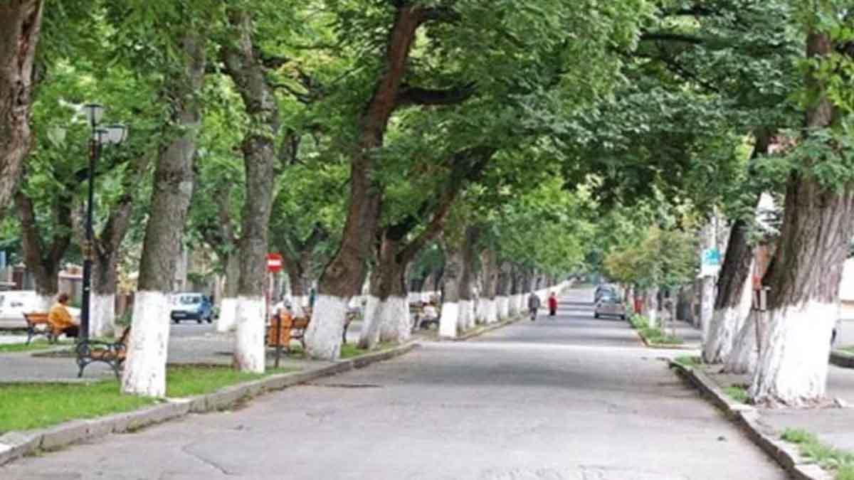 हर्बल पेड़ लगाने की कवायद शुरू (फाइल फोटो)