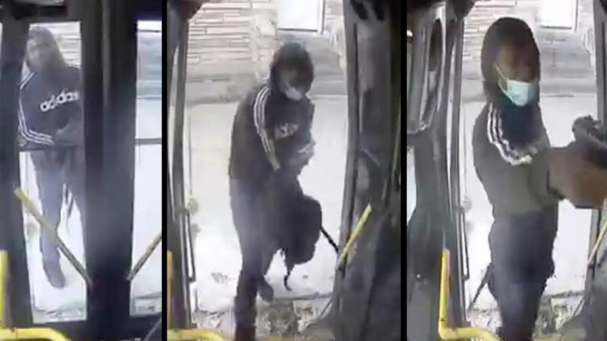 सोशल मीडिया यूजर्स