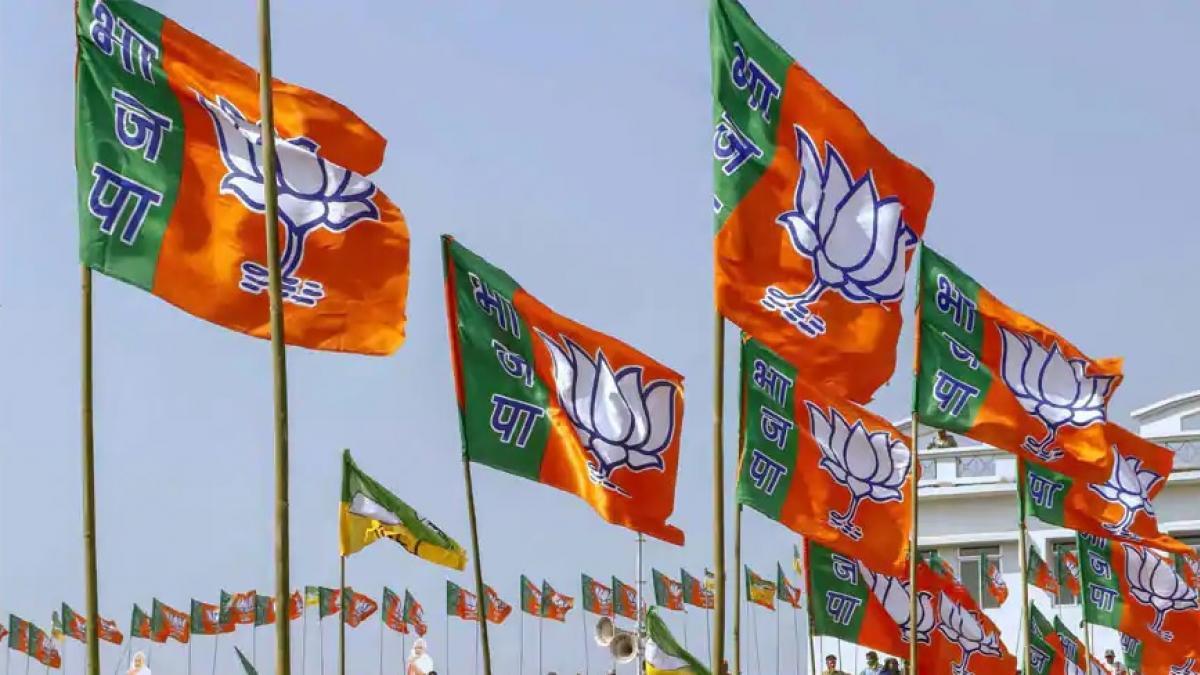 Gujarat ByPoll Result