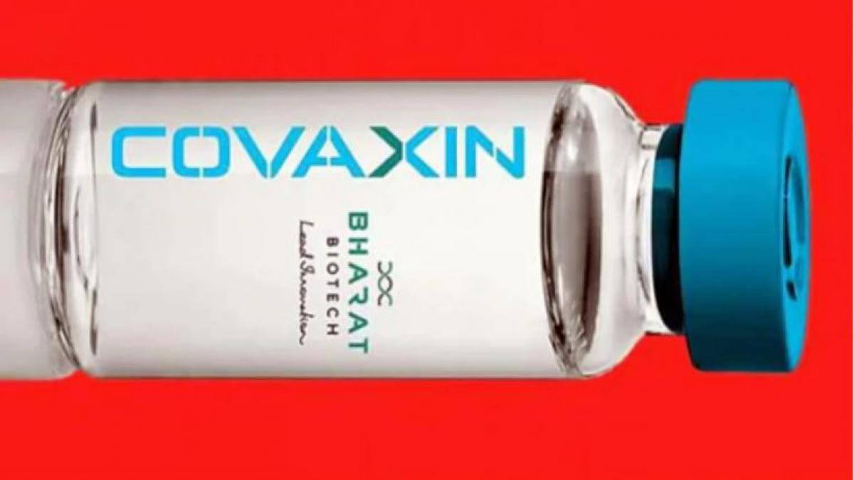 प्रतीकात्मक तस्वीर 