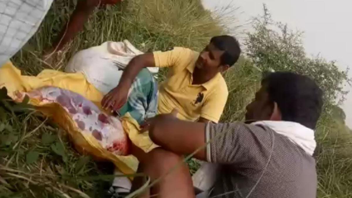 कैमूर में 9 तस्करों ने एक नीलगाय की हत्या कर दी (फोटो आजतक)