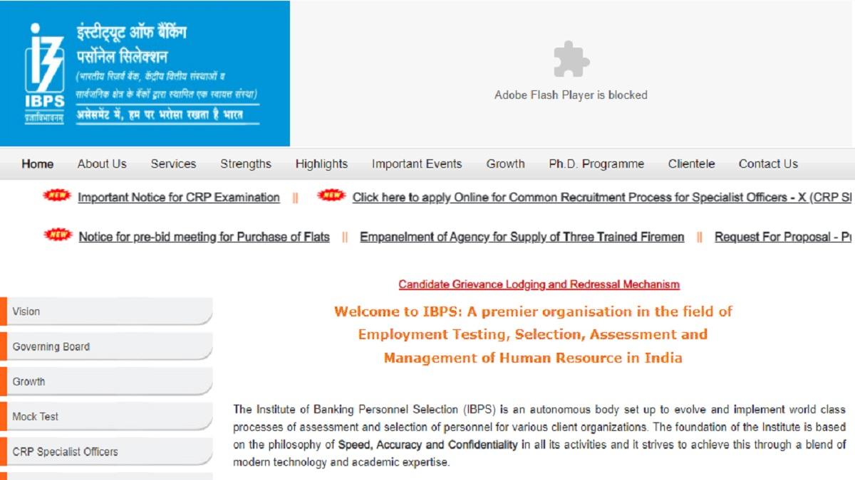 IBPS Clerk Main 2020