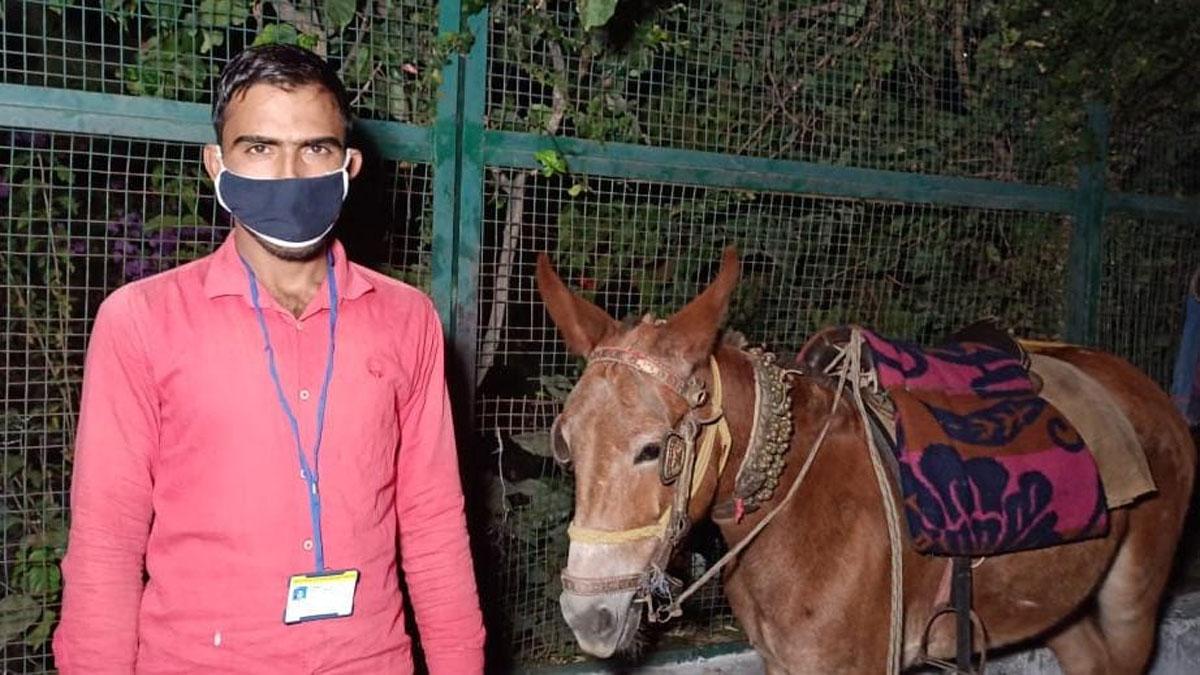 घोड़े-टट्टू वालों को कमाई पर असर