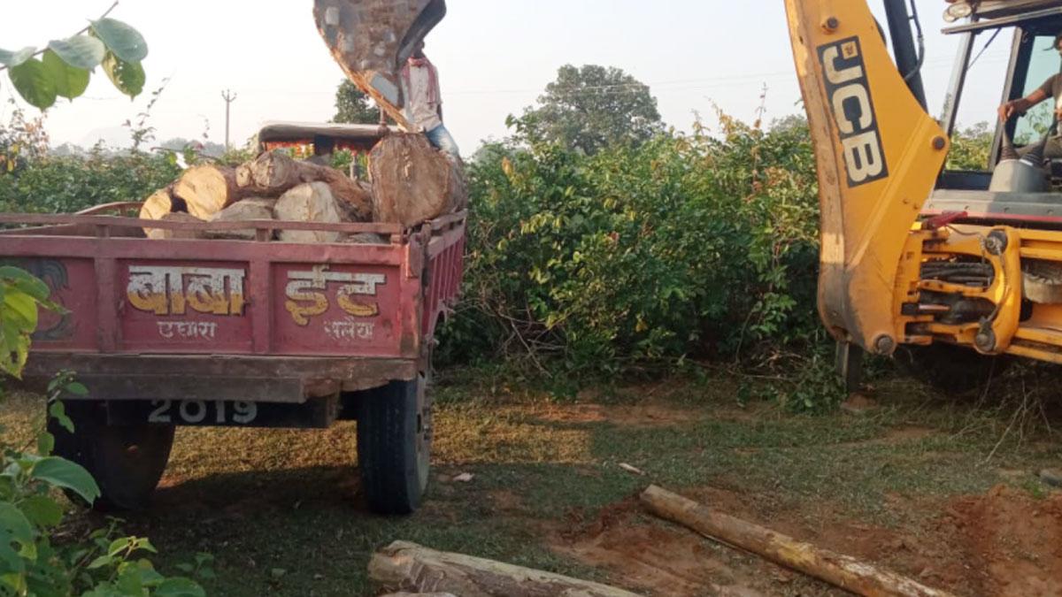 व​न विभाग ने फॉरेस्ट माफिया के खिलाफ बड़ी कार्रवाई की (फोटो आजतक)