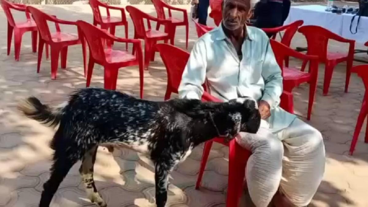 पुलिस ने चोरी किया गया बकरा और पैसे बरामद कर लिए हैं